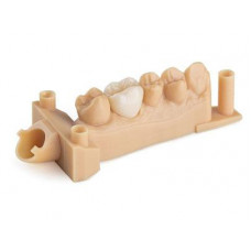 Derva 3D spausdintuvui Dental Model V2 1l