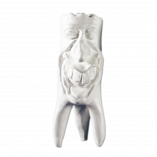 Gipsiniai dantys Hinrichs dantų kolekcija '' Rudi''