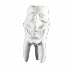 Hinrichs dantų kolekcija 'Mike' gipsiniai dantys