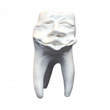 Hinrichs dantų kolekcija ''Mick'' gipsiniai dantys