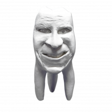 Hinrichs dantų kolekcija ''Joachim'' gipsiniai dantys
