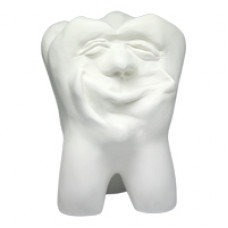 Hinrichs dantų kolekcija ''Dickie'' gipsiniai dantys