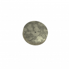 Kempininis trintukas – vidutiniškai pilkas