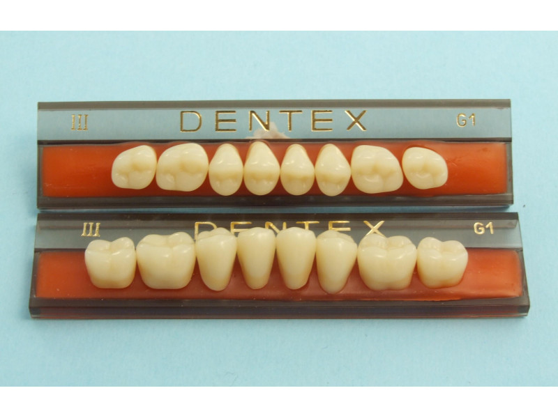 Šoniniai dantys Dentex 8 vnt