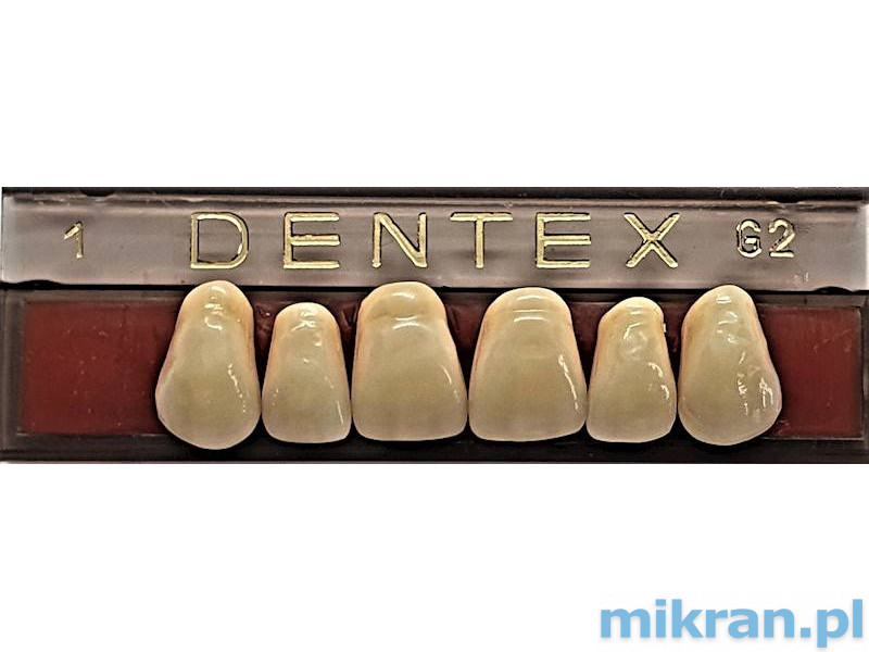 Dentex priekiniai dantys 6 vnt