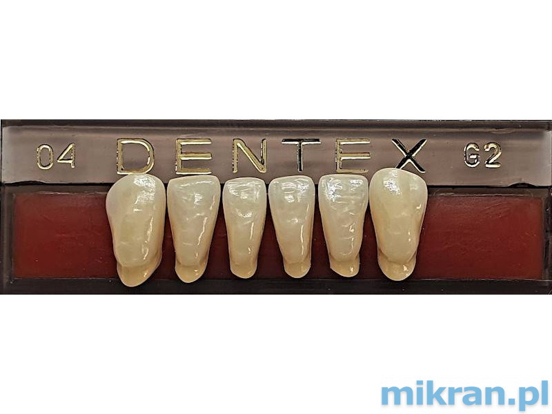 Dentex priekiniai dantys 6 vnt